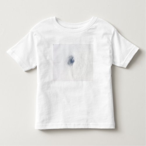 The eye of Hurricane Rita Toddler T_shirt