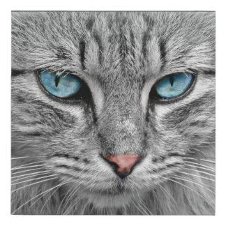 The Eyes of a Cat Faux Canvas Print