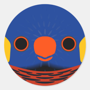 The face of a Coconut lorikeet Classic Round Sticker