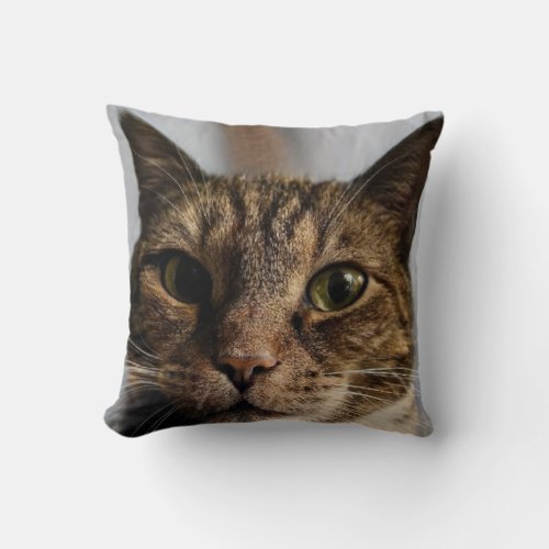 The face of a domesticated wild catkiller hunter throw pillow