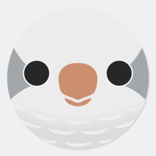 The face of a Grey Monk Parakeet Classic Round Sticker