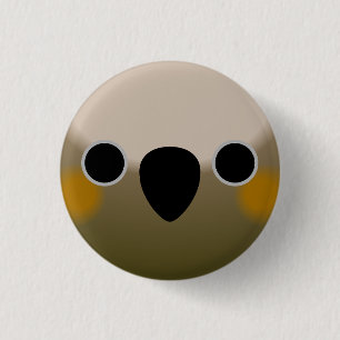 The face of a New Zealand kākā Button