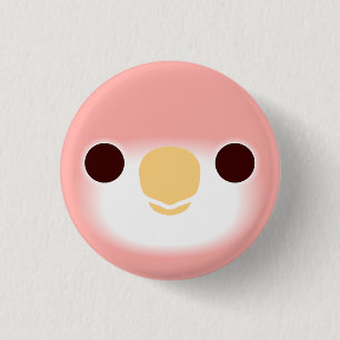 The face of a Rubino Bourke's parrot Button