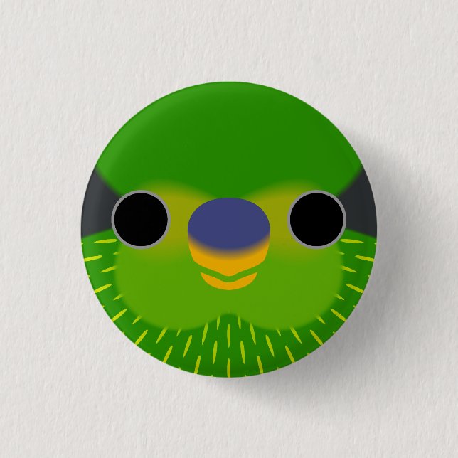 The face of a Striated lorikeet Button (Front)