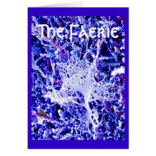 The Faerie - Spider Web Cards (Front)