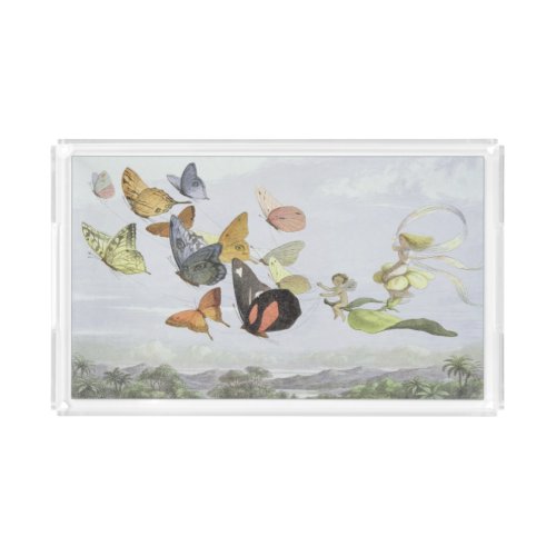 The Fairy Queens Carriage  Elf World Acrylic Tray