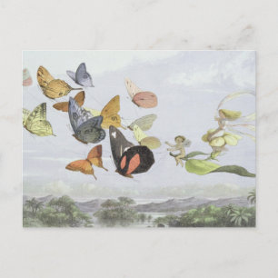 The Fairy Queen's Carriage Elf World Postcard