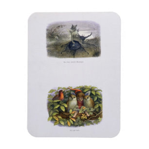 The Fairy Queen's Messenger, and Elf and Owls, ill Magnet