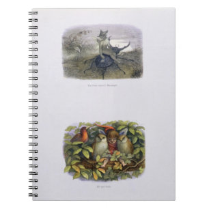 The Fairy Queen's Messenger, and Elf and Owls, ill Notebook