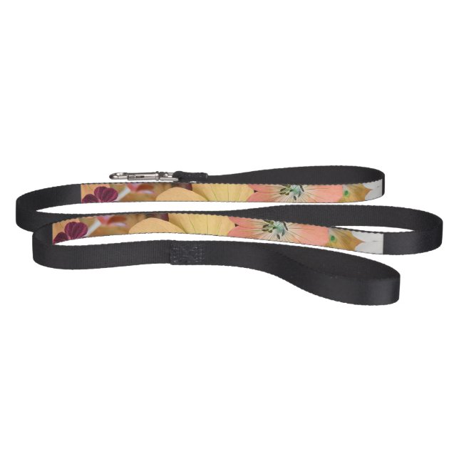 The fairy will come out soon 1 pet leash (Full)