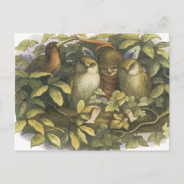 The Fairyland,1870 Fairy With Owls Postcard (Front)