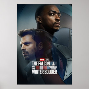 The Falcon and The Winter Soldier Shield Poster