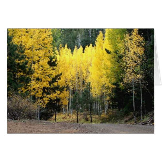The fall colors were GREAT Cards
