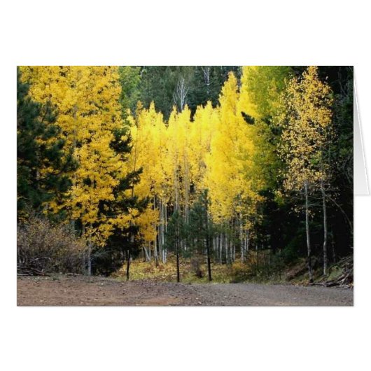The fall colors were GREAT Cards (Front Horizontal)