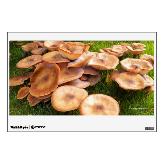 The Fall of Mushrooms Wall Decal (Front)