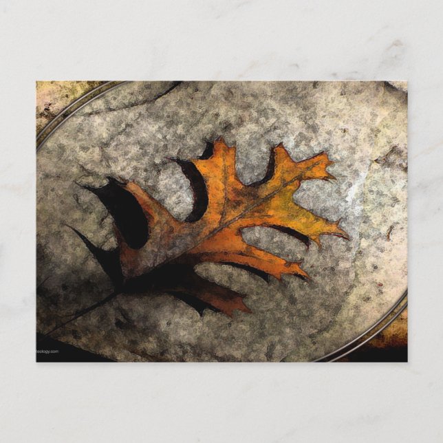 THE FALLEN POSTCARD (Front)