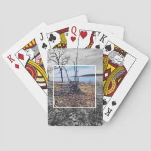 The Fallen Tree Playing Cards