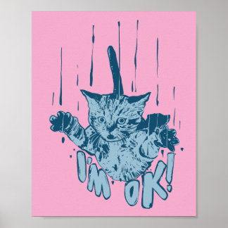 The falling cat poster