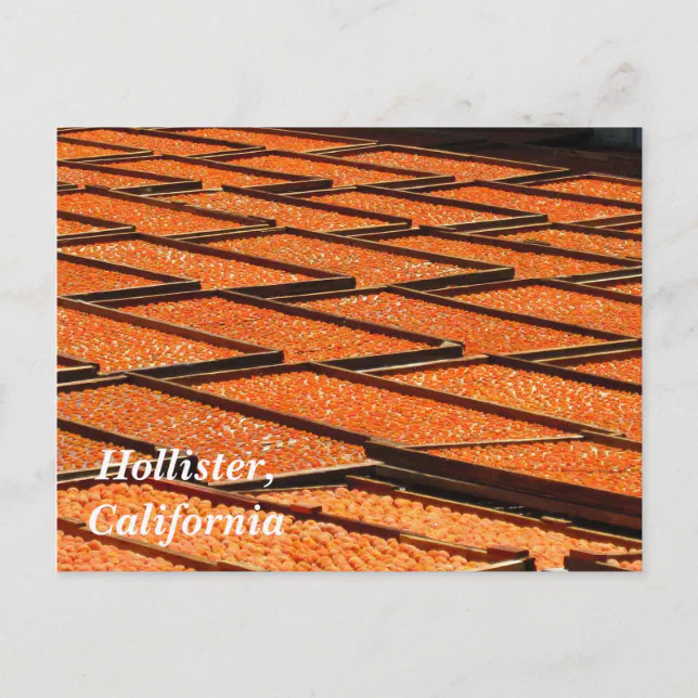 The Famous Apricots of Hollister, California Postcard Zazzle