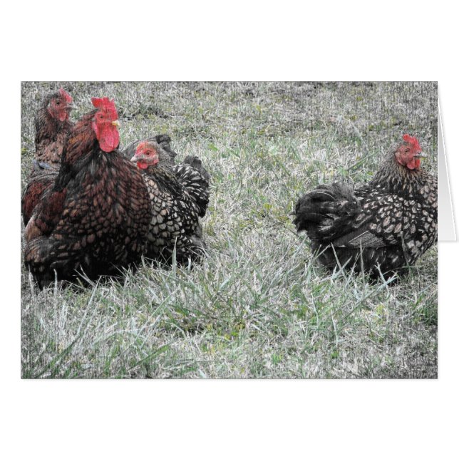 The Fancy Family (Front Horizontal)