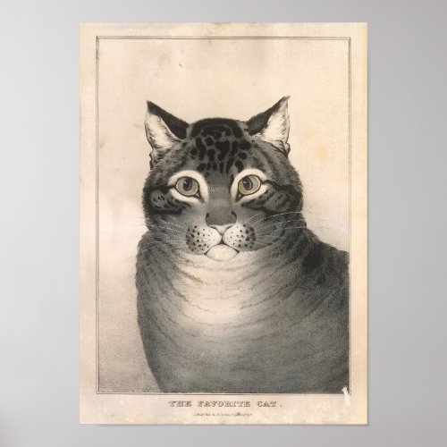 The Favorite Cat Lithograph _ Nathaniel Currier Poster