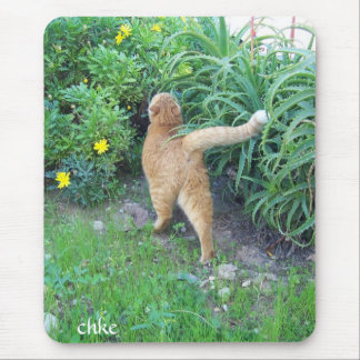 The favorite of the district mouse pad