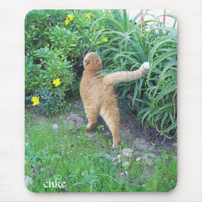 The favorite of the district mouse pad (Front)