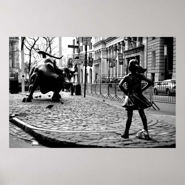 The Fearless Girl Poster (Front)