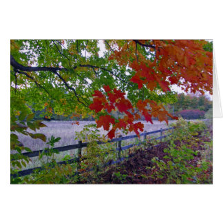 The Fence Cards