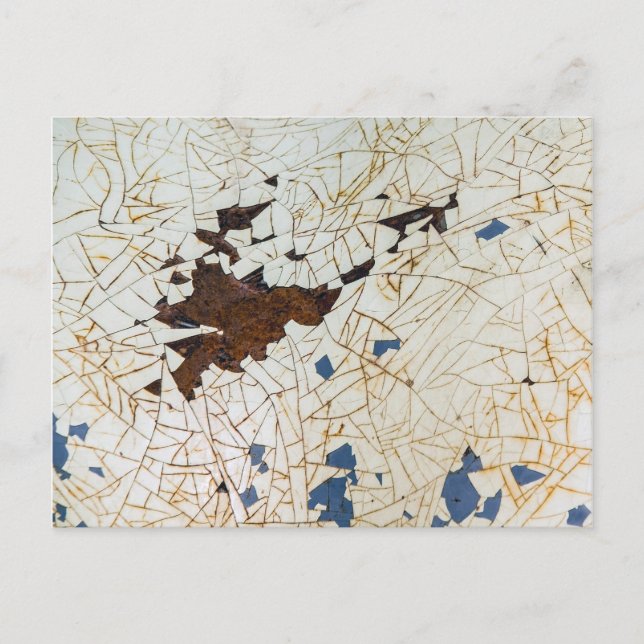 The Fender Craze Postcard (Front)