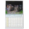 The Feral LIfe Photo Cats 2026