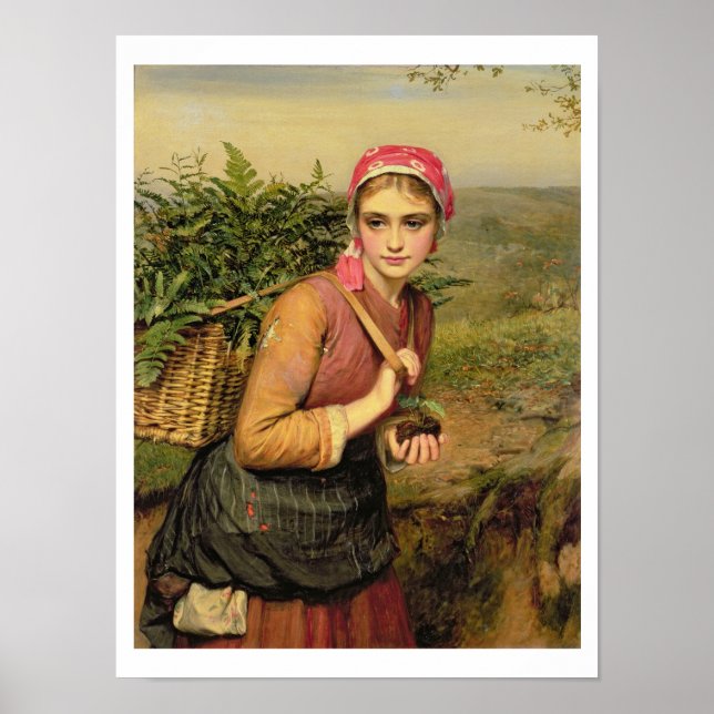 The Fern Gatherer Poster (Front)