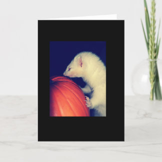 The Ferret and The Pumpkin Card