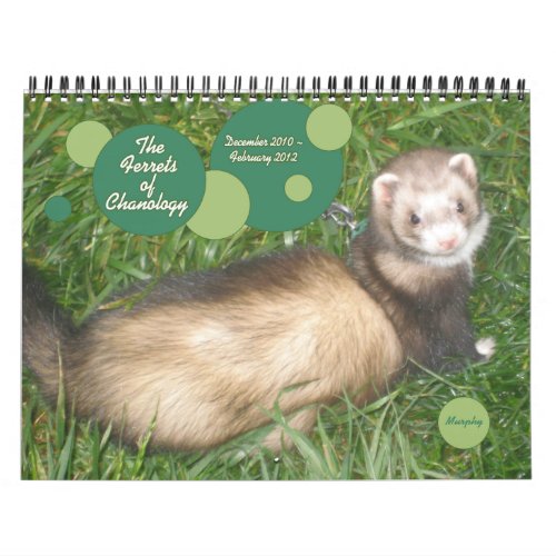The Ferrets of Chanology Calendar