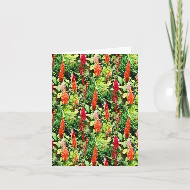 The Field of flowers..... Card (Front)