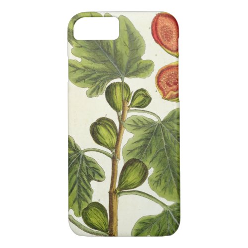 The Fig Tree plate 125 from A Curious Herbal p iPhone 87 Case