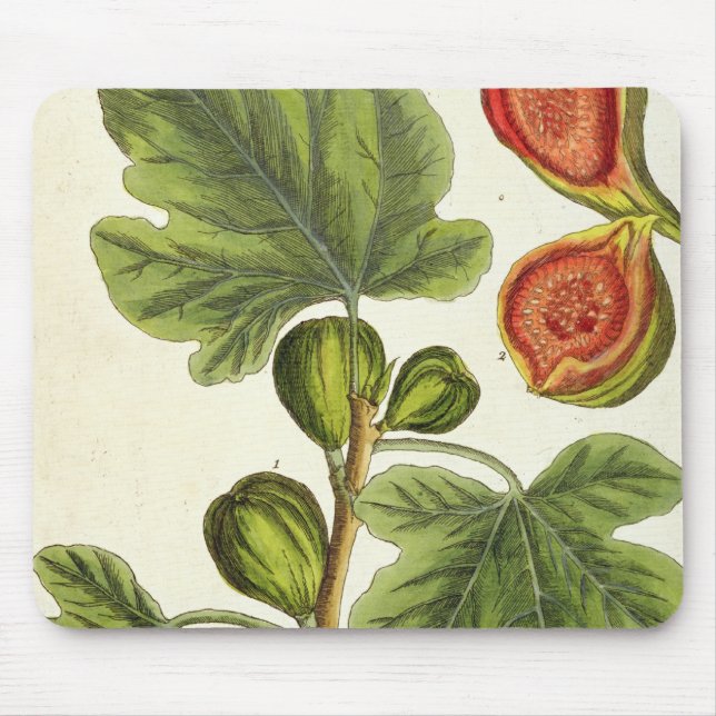 The Fig Tree, plate 125 from 'A Curious Herbal', p Mouse Pad (Front)