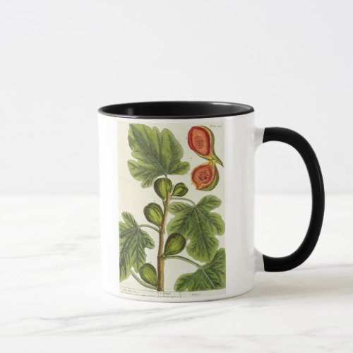 The Fig Tree plate 125 from A Curious Herbal p Mug