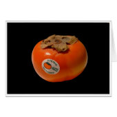 The Fire of Zeus (Front Horizontal)