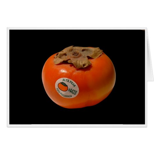 The Fire of Zeus (Front Horizontal)