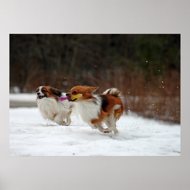 The first day of winter 2012 poster (Front)