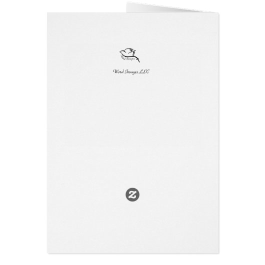 The first Lady  and Pastor (Back)