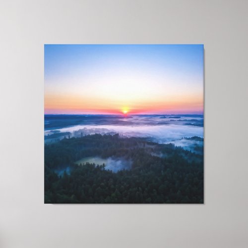 The first light of dawn illuminating the forest canvas print