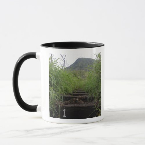 The first step invites hikers up Koko Crater Mug