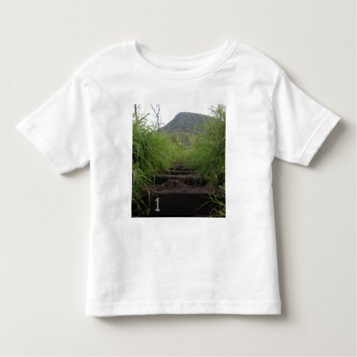 The first step invites hikers up Koko Crater Toddler T_shirt