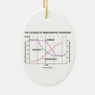 demographic transition model gifts on zazzle