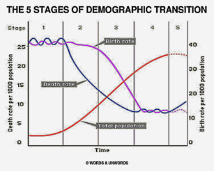 demographic transition model gifts on zazzle