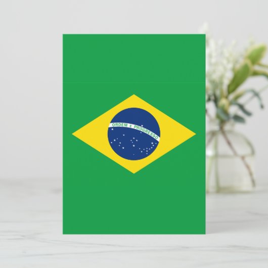 The Flag of Brazil (Standing Front)