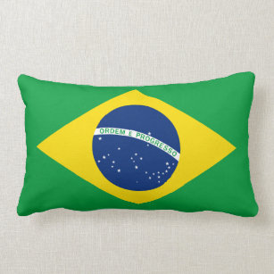 The Flag of Brazil Hoodie