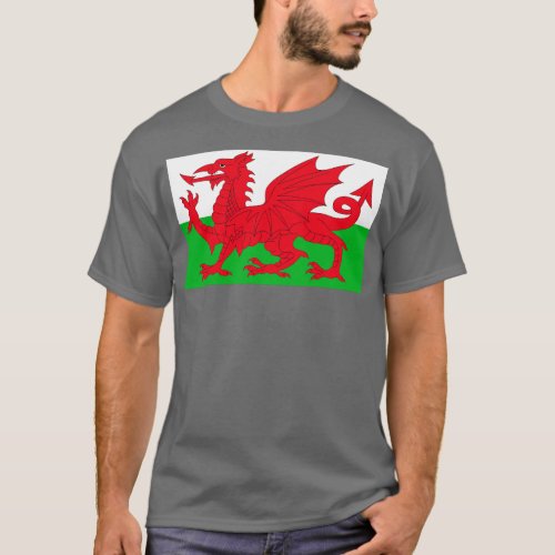 The Flag of Wales T_Shirt
